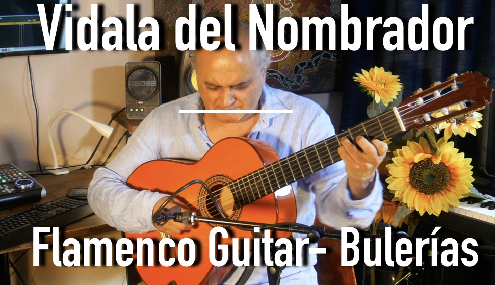 flamenco guitar bulerias